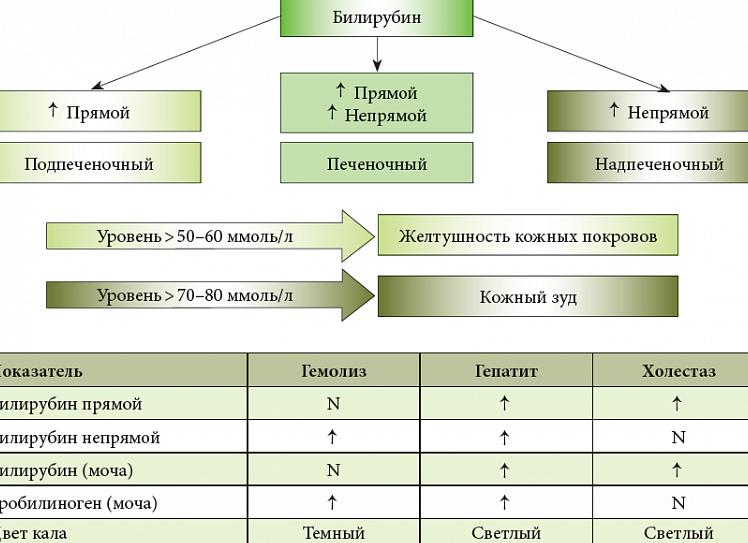 Холестаз — что это за болезнь, причины и симптомы, диагностика, методы лечения и возможные осложнения