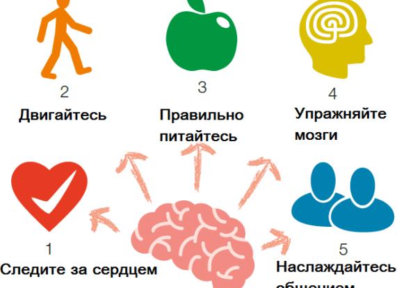 Профилактика болезни Альцгеймера — как предотвратить деменцию