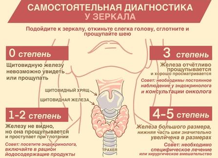 Узлы в щитовидной железе: симптомы и лечение