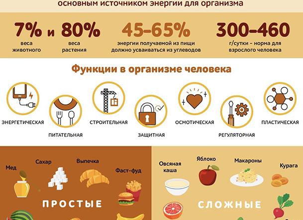 В каких продуктах содержатся сложные, быстрые и медленные углеводы?