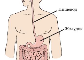 Какие причины могут вызывать боль в коленях у ребенка