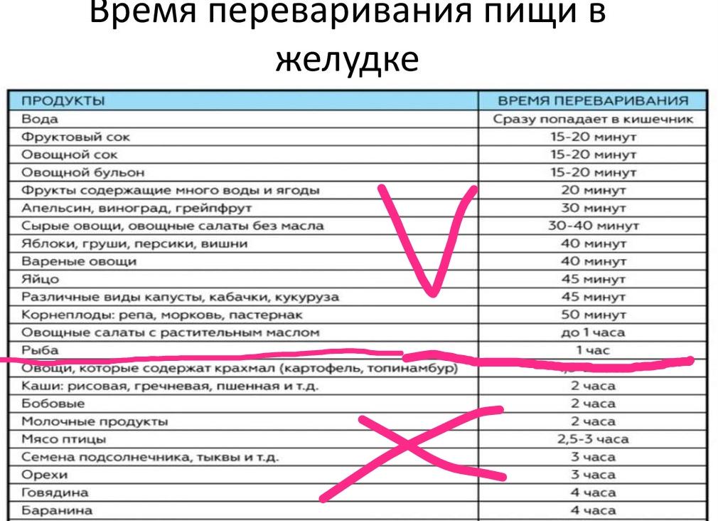 Время переваривания продуктов в желудке: важные аспекты в гастроэнтерологии