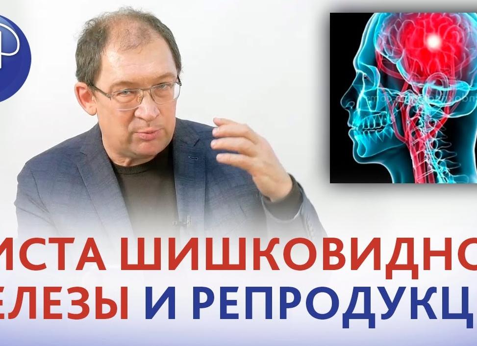 Киста шишковидной железы головного мозга: симптомы, лечение и последствия