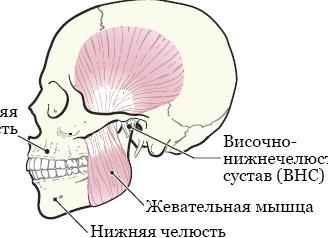 Восстановление после химиотерапии — методы очищения и реабилитации