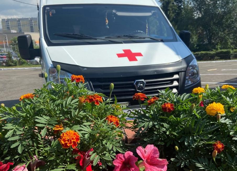 Травы, помогающие справиться с холециститом и панкреатитом, и особенности их безопасного использования