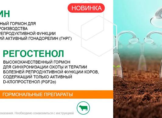 Уротропин – инструкция по применению, состав, форма выпуска, показания, дозировка и цена