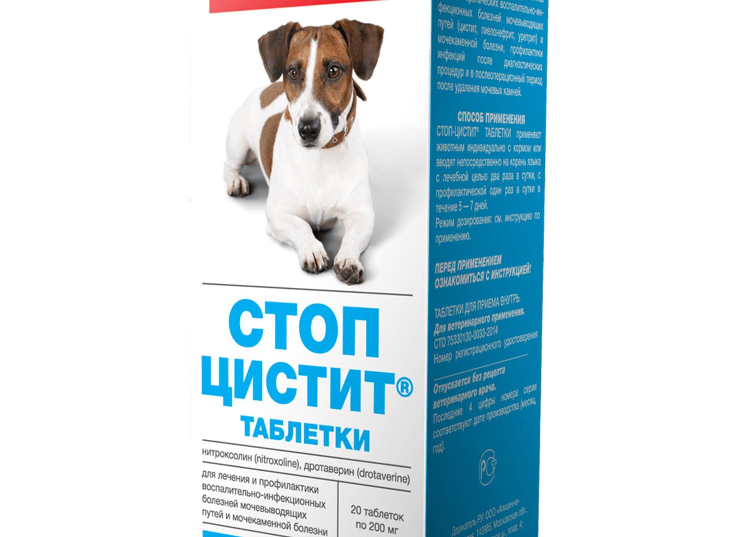 Антибиотики при цистите и уретрите у женщин