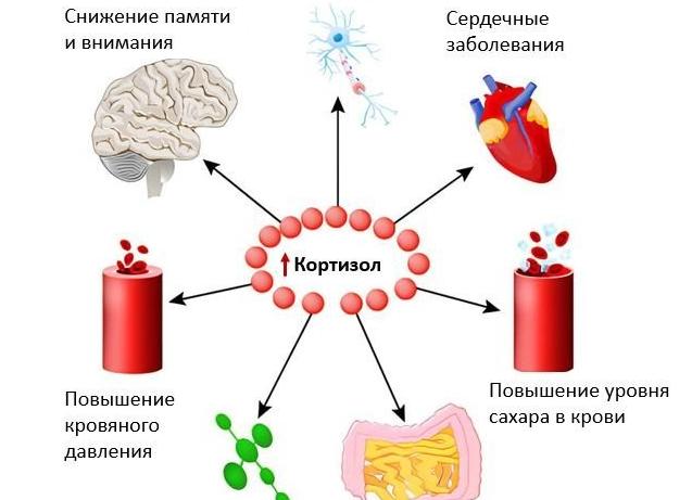 Каковы причины повышенного сахара в крови и что делать в этом случае?