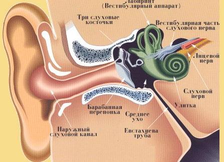 Шум в ушах и звон в голове: лечение тиннитуса и его причины
