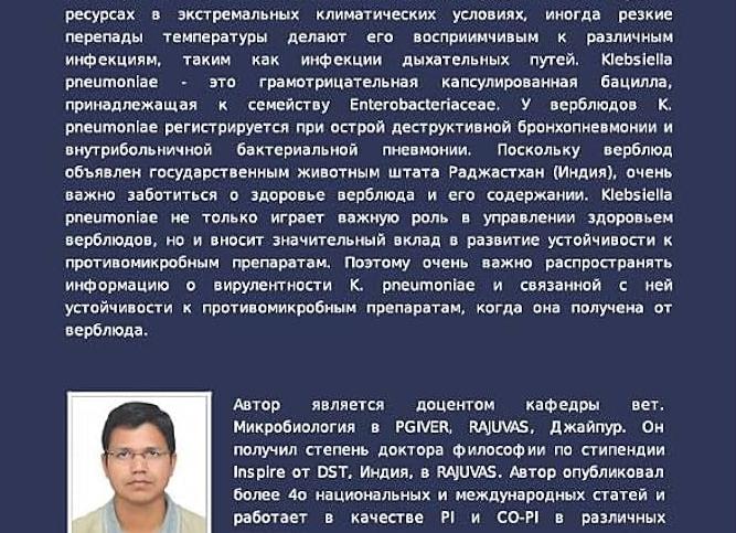 Клебсиелла – что это такое и пути передачи бактерии, симптомы, диагностика, лечение и профилактика