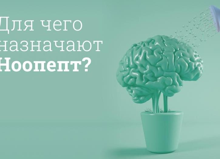 Ноопепт – инструкция по применению и состав, показания, дозировка, форма выпуска и цена