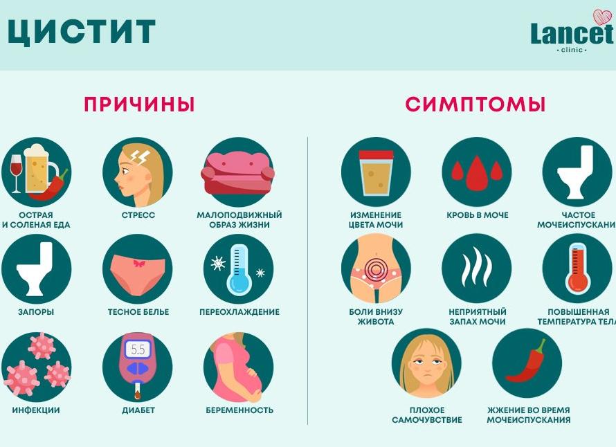 Цистит — симптомы