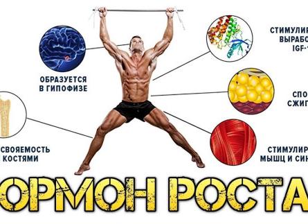 Гормон роста