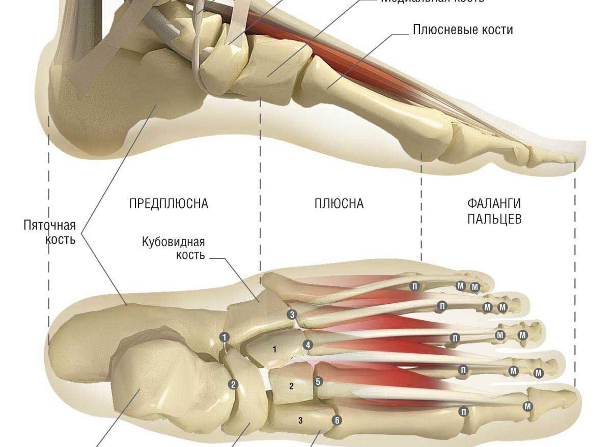 Возможные причины боли в стопе при ходьбе