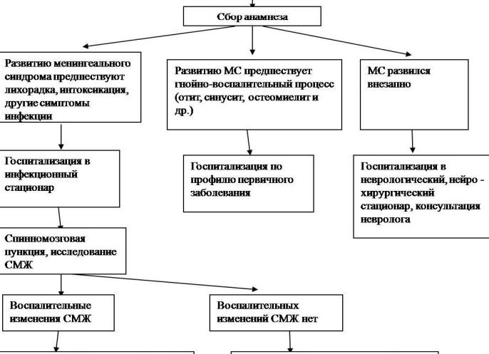 Особенности менингизма: симптомы и лечение синдрома