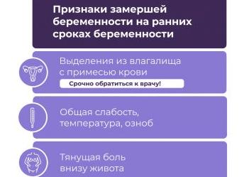 Признаки замершей беременности на ранних сроках у женщин