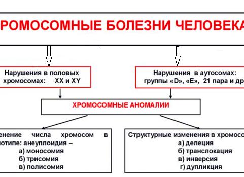 Хромосомные мутации — причины возникновения и виды, связь с генными и геномными изменениями