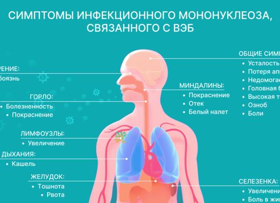Последствия мононуклеоза у взрослых — причины возникновения осложнений