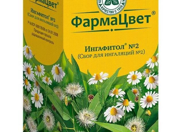 Грудной сбор для ингаляций — состав и виды, инструкция по применению