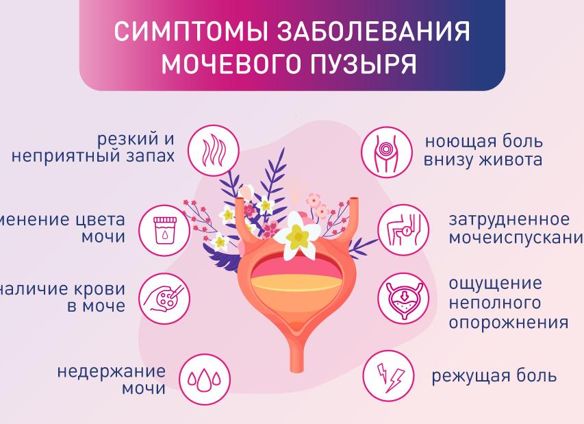 Почему возникает чувство неполного опорожнения мочевого пузыря?