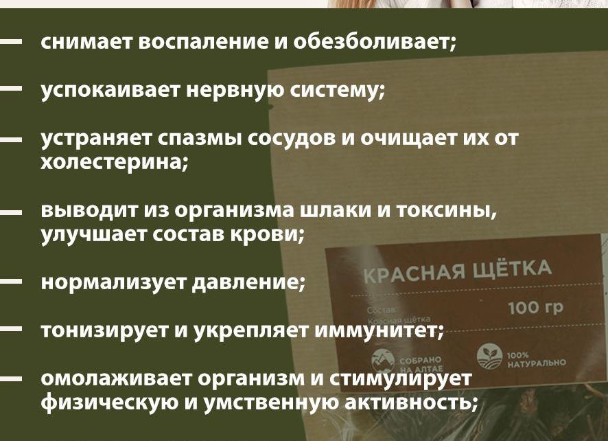 Красная щетка – лечебные свойства, противопоказания и отзывы