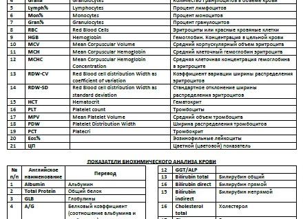 Общий анализ крови — расшифровка результатов и таблица нормы